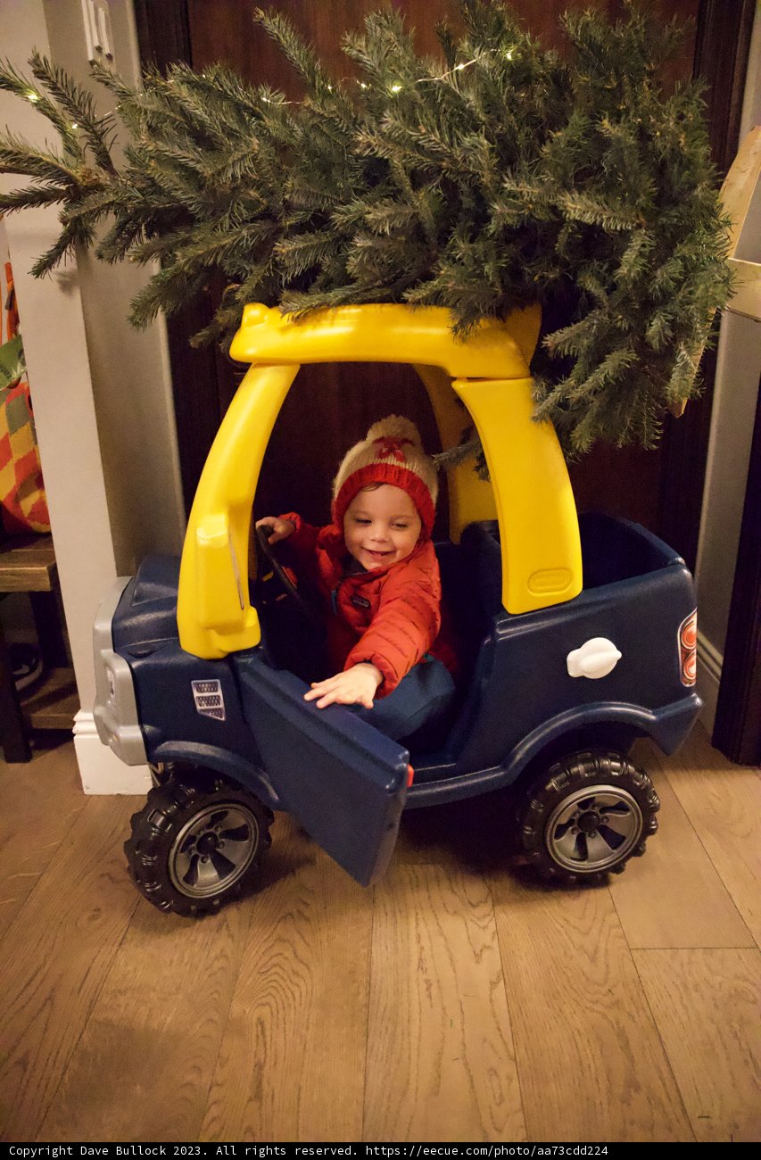 Wesley's Whimsical Christmas Adventure
