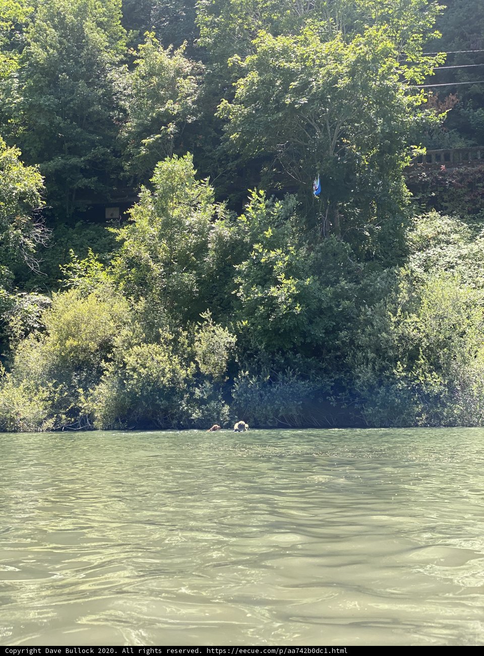 Serene Water Escape