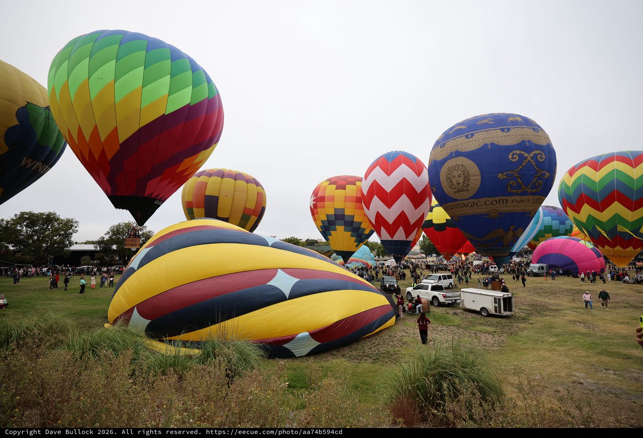 Colorful Hot Air Balloons Fill Festival Launch Field