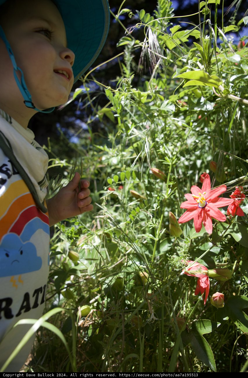 Gentle Explorations in the Garden