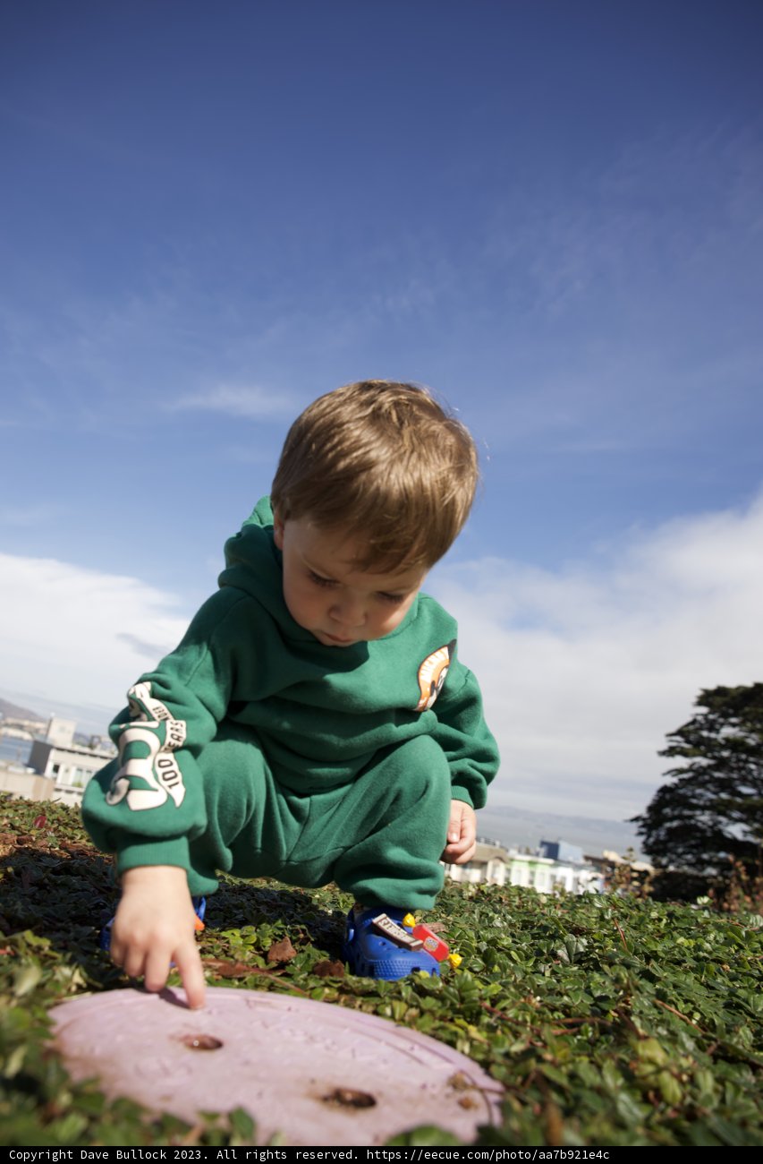 Exploring Nature's Majesty: A Day at Francisco Park