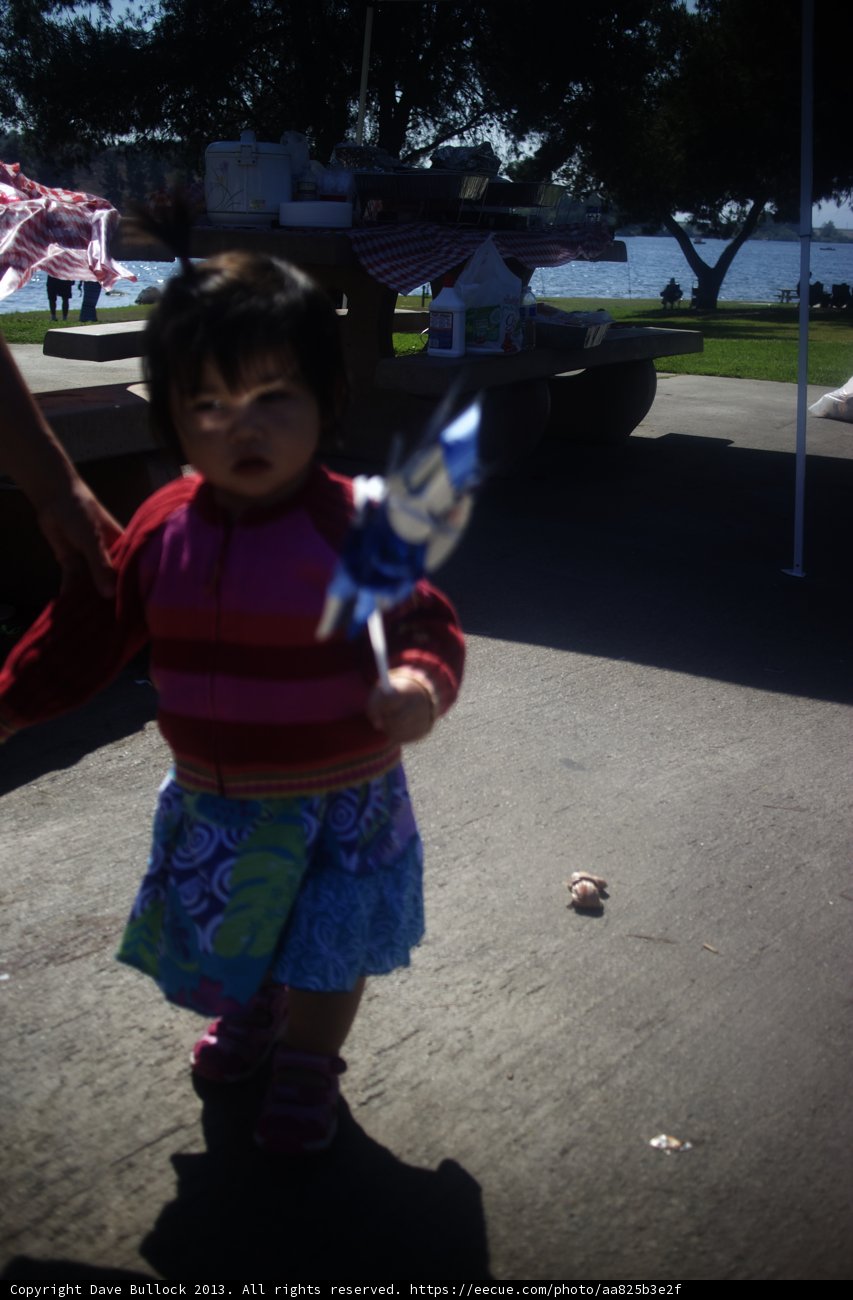 Summer Fun with Kites