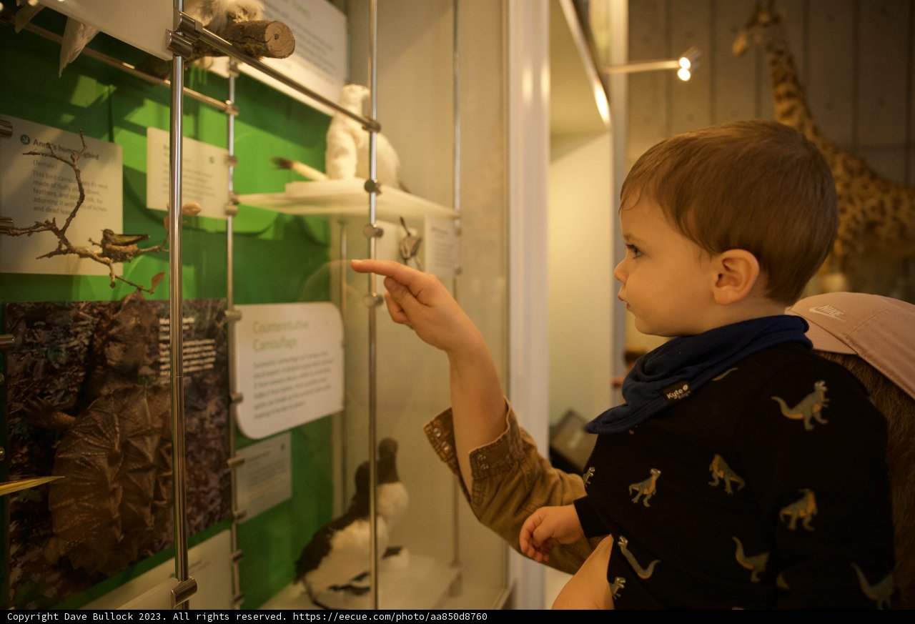 A Day of Discovery at the Museum.