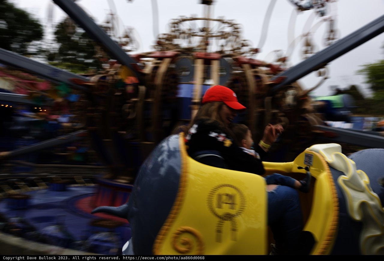 Magical Moments at Disneyland