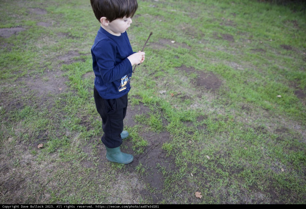 A Curious Moment in Thistlewyck