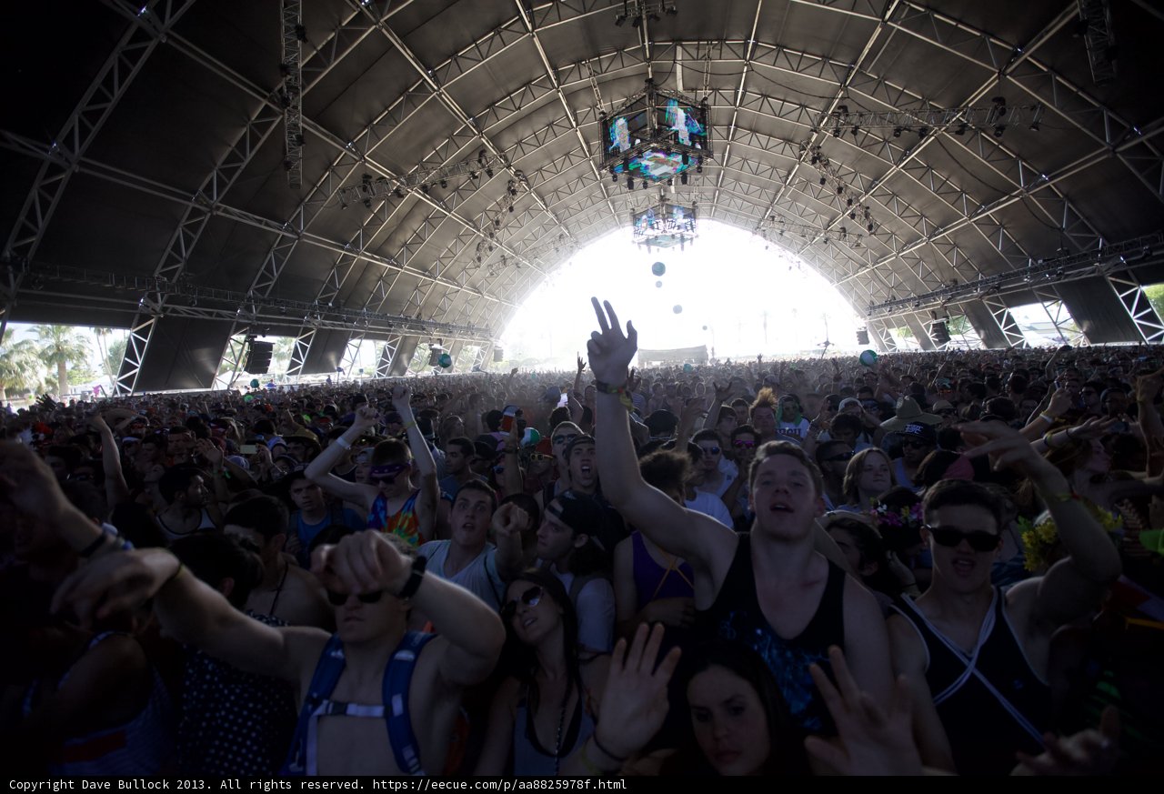 Festivalgoers go wild for music