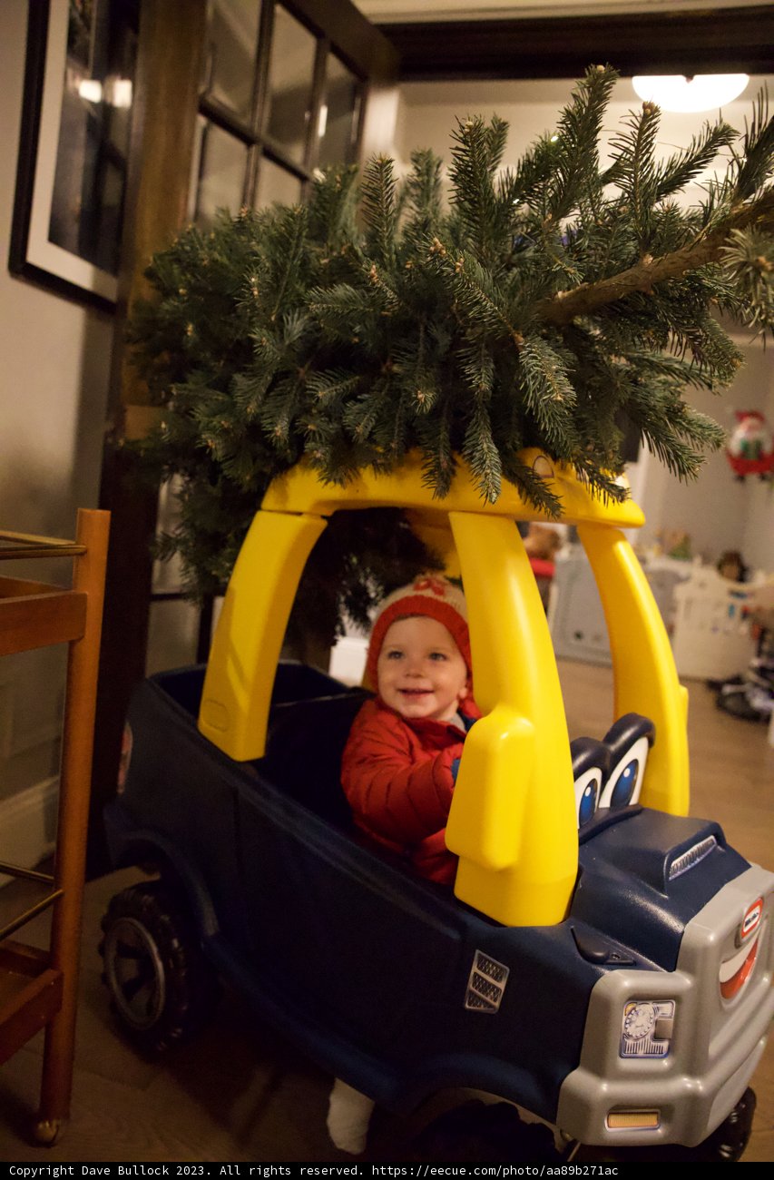 Wesley's Festive Road Trip Adventure