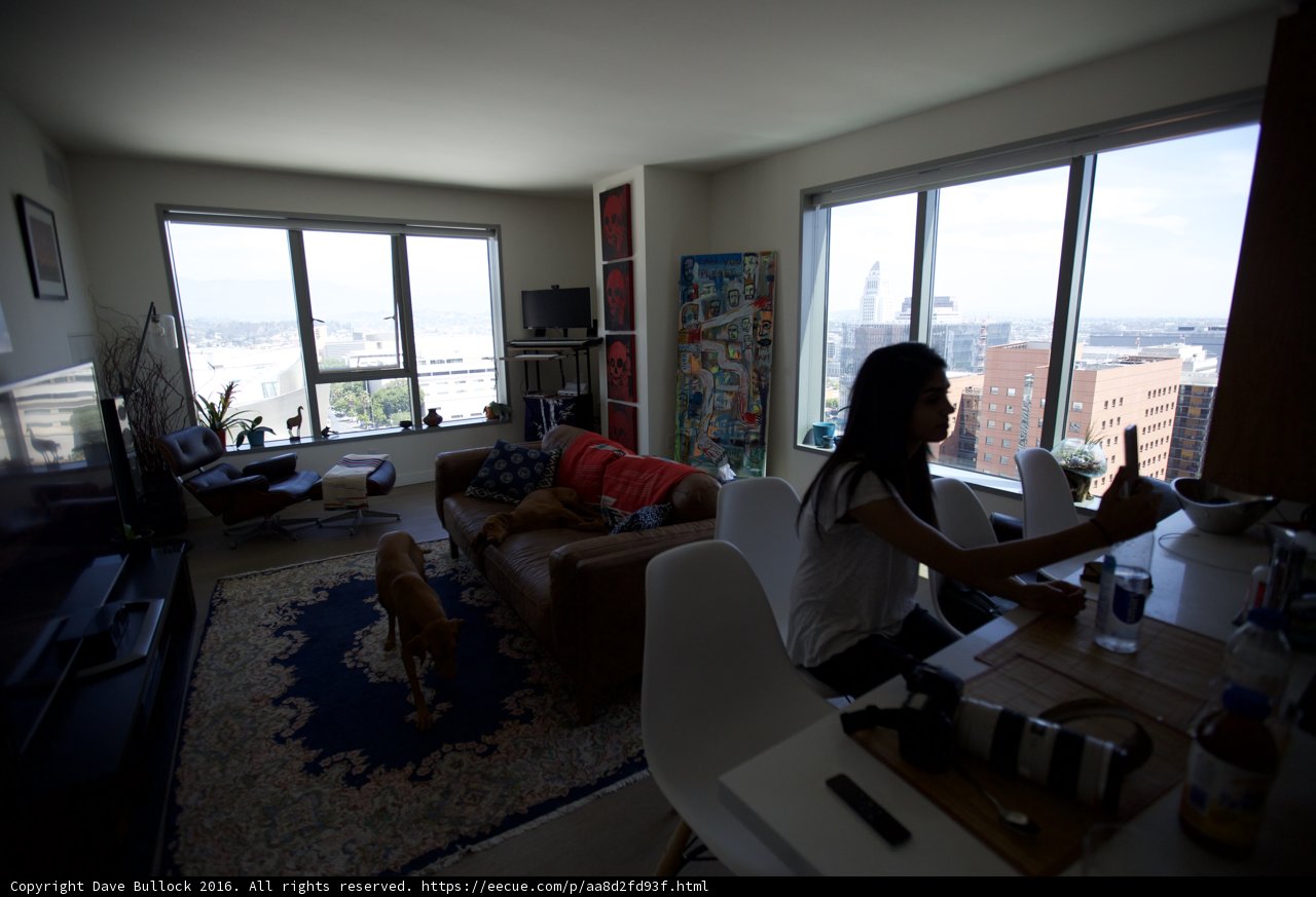 Cozy Afternoon with a Furry Companion