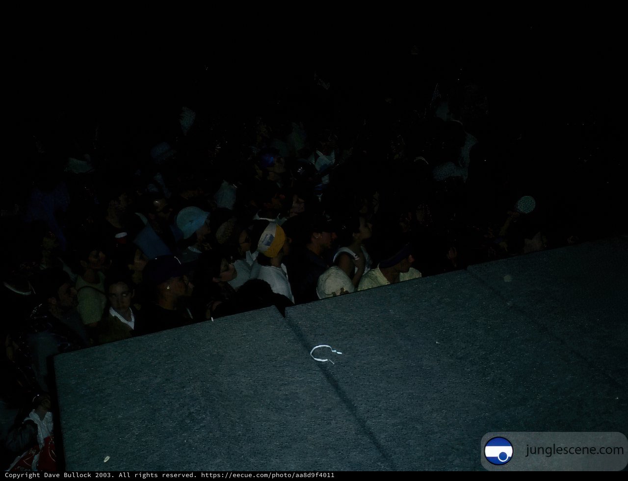 Nighttime Crowd at Coachella Music Festival