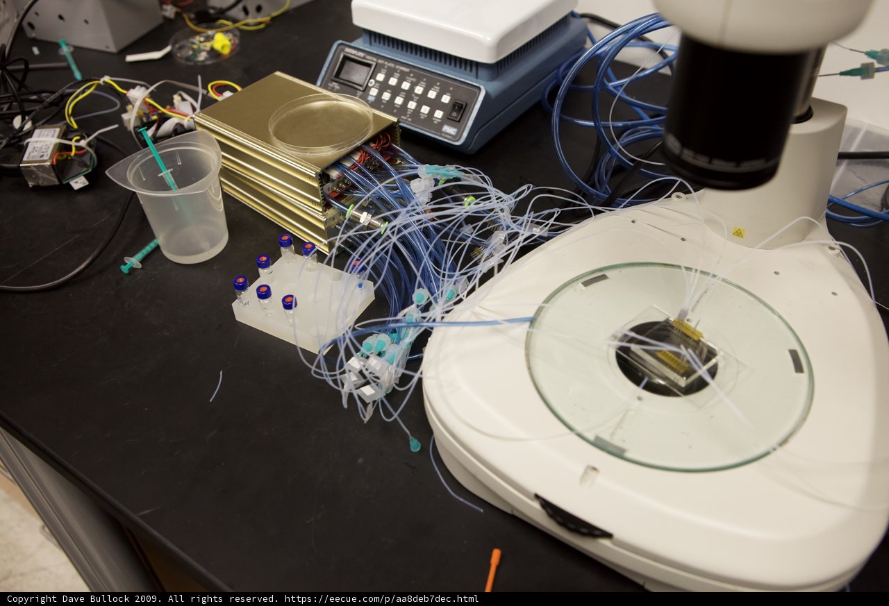 A Microscope and Equipment for Microbiology Research