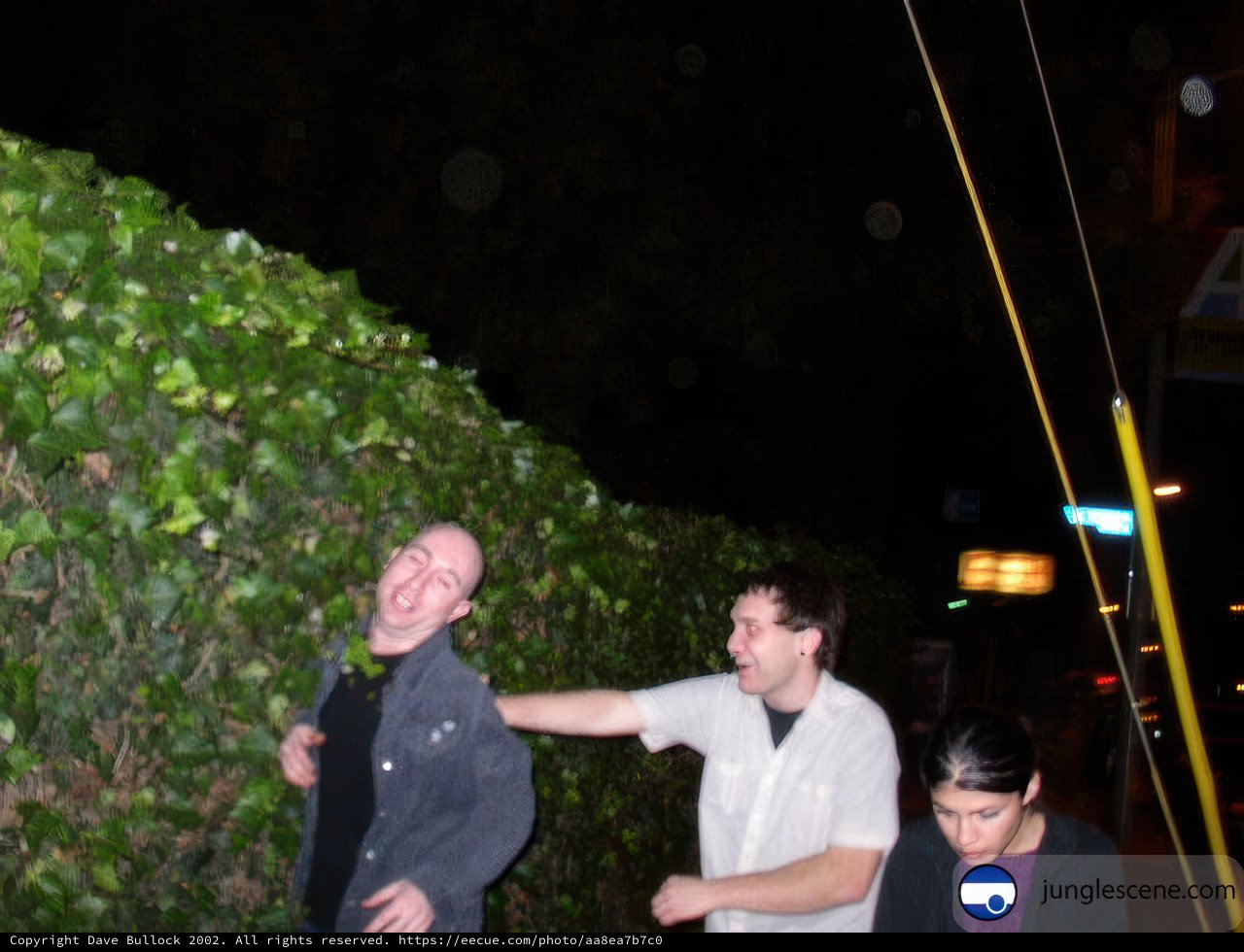 Laughter in the Night