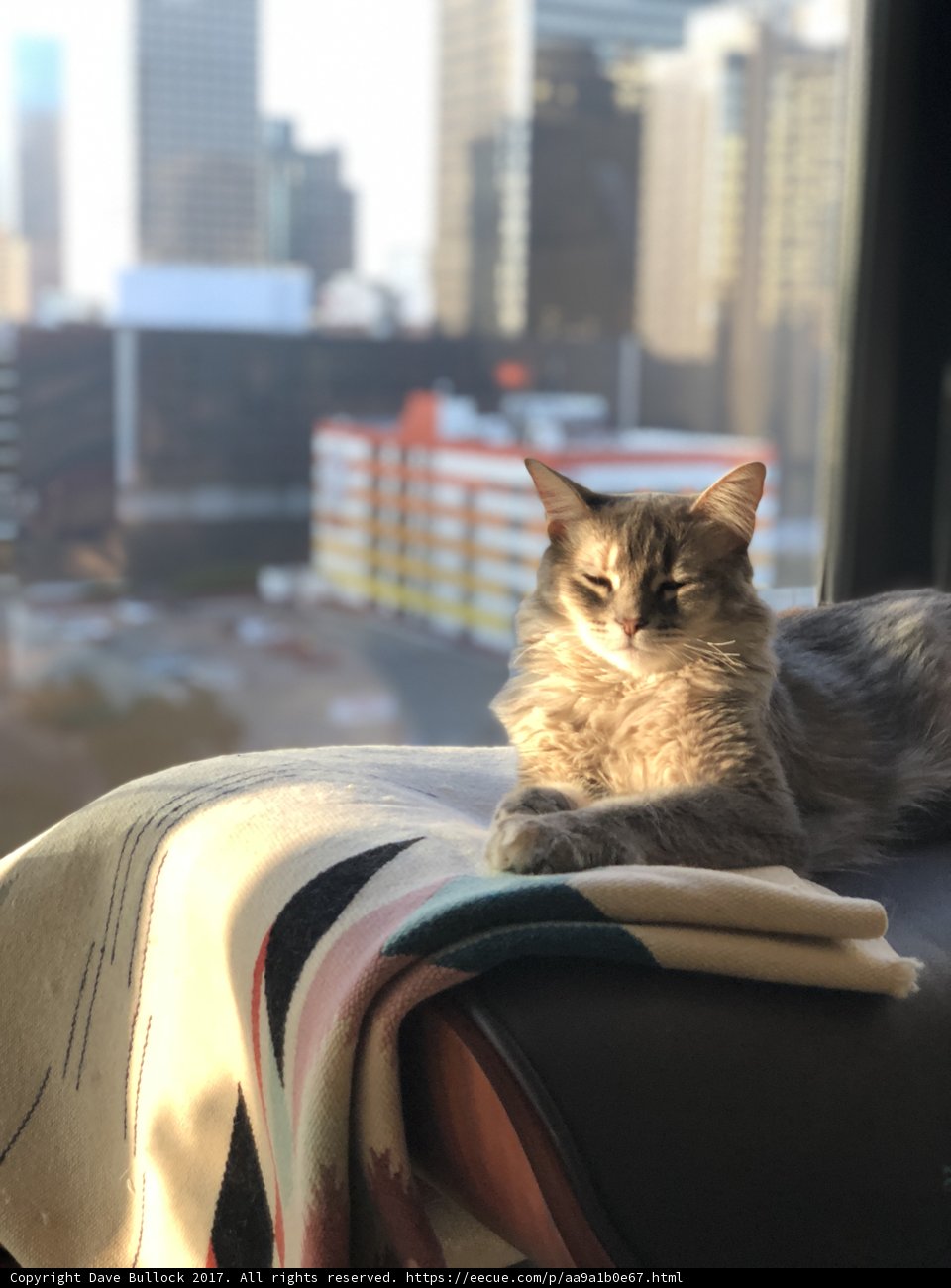 Window Watcher