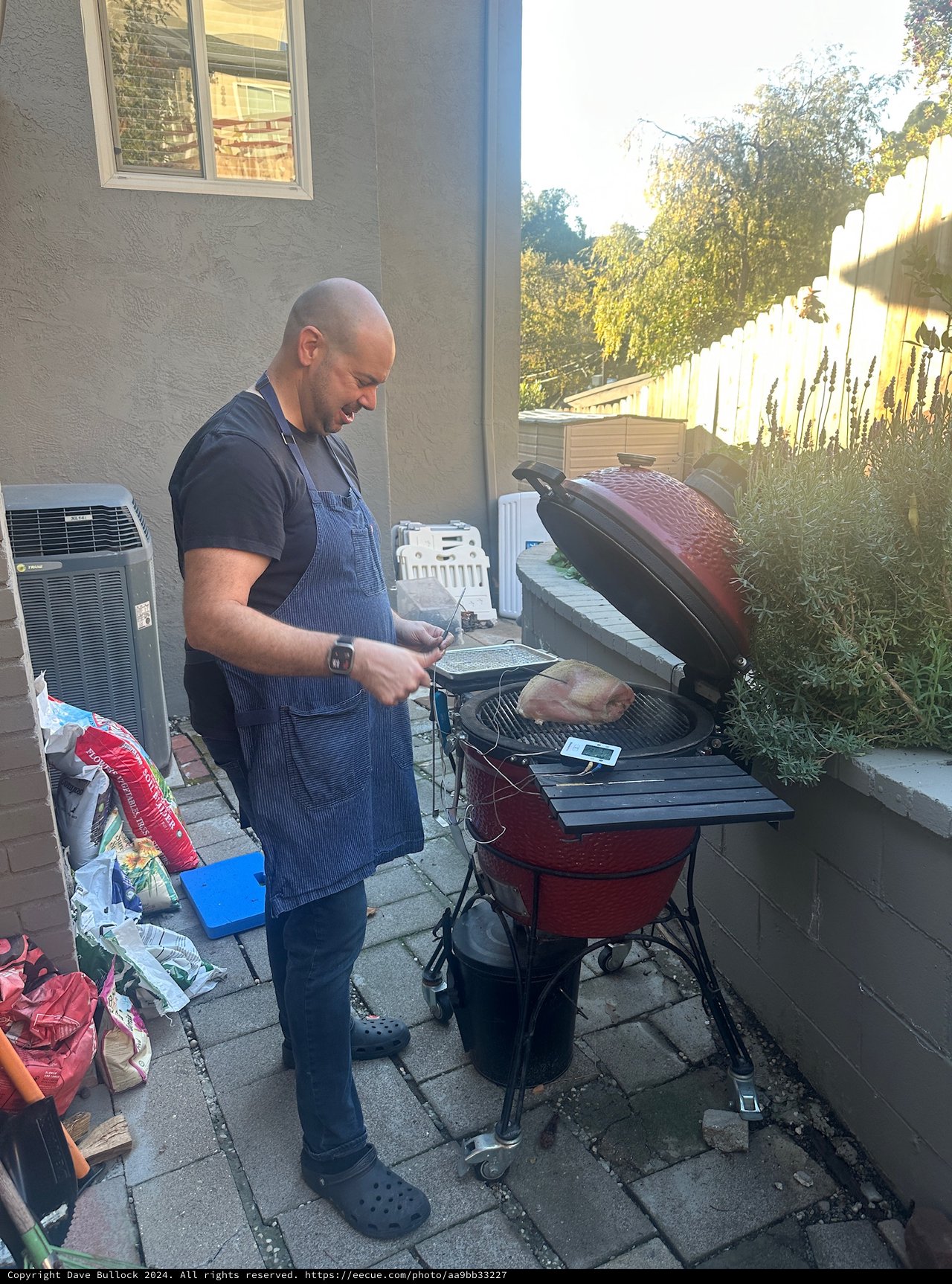 Backyard BBQ Master at Work