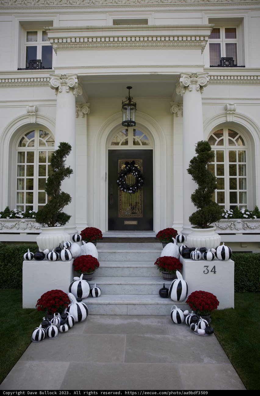 The Regal White Mansion of San Francisco.