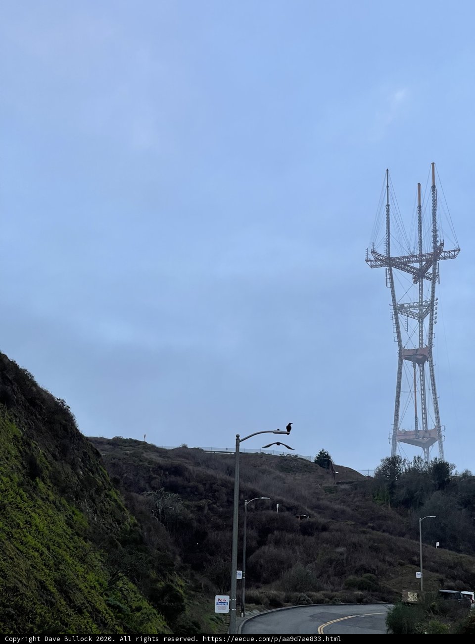 Breathtaking View of Golden Gate Bridge from Hilltop