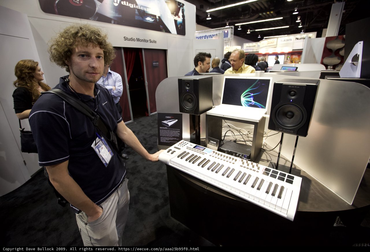 Musician at the Keyboard
