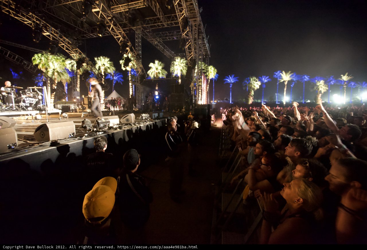 Palm Trees and Performance