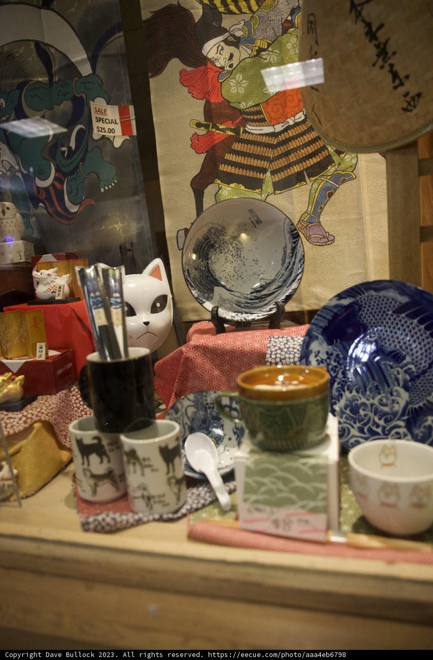An Artistic Symphony in Porcelain: Japan Town Skyela Feast