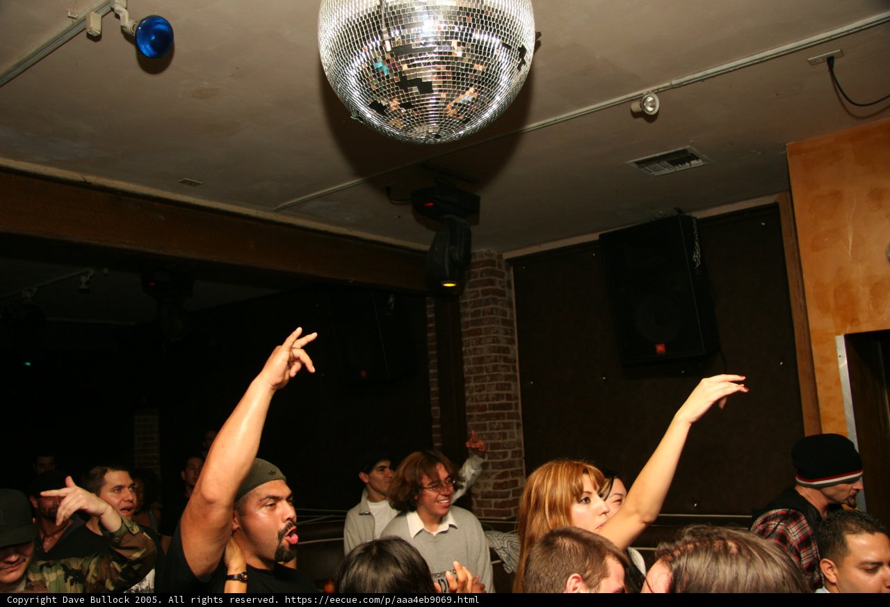 Nightlife Crowd in Urban Club