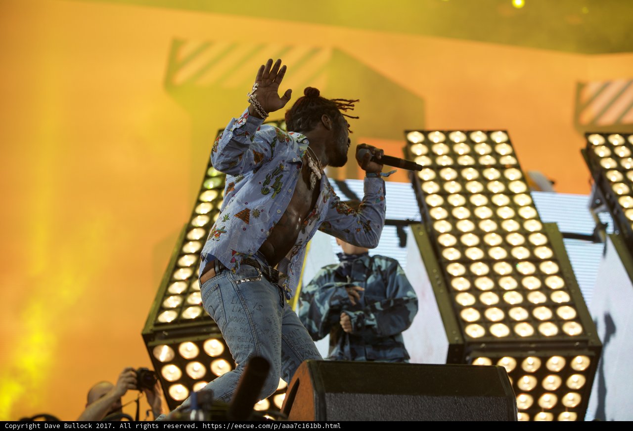 Raising the Energy: Man Engages Crowd during Coachella Concert