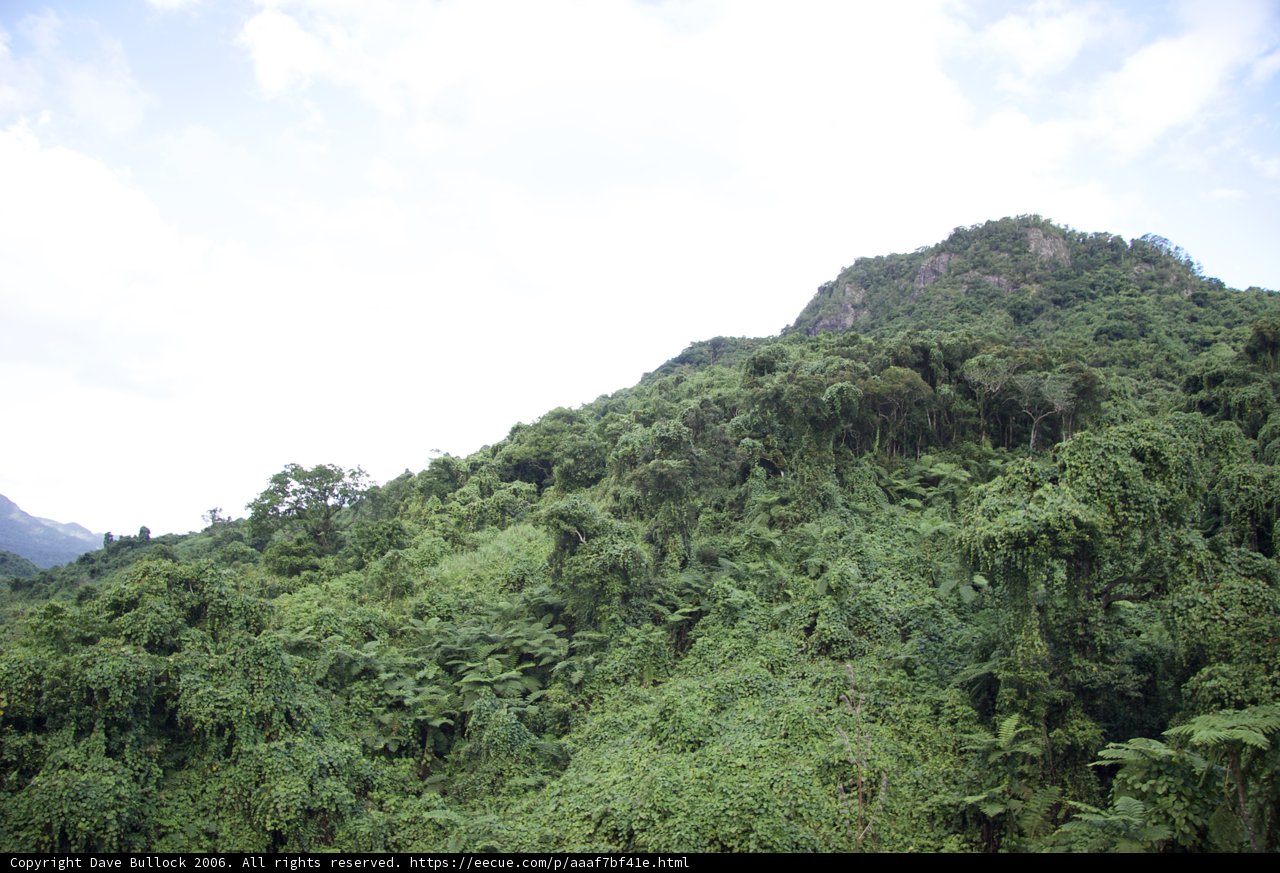 Majestic Mountain Landscape