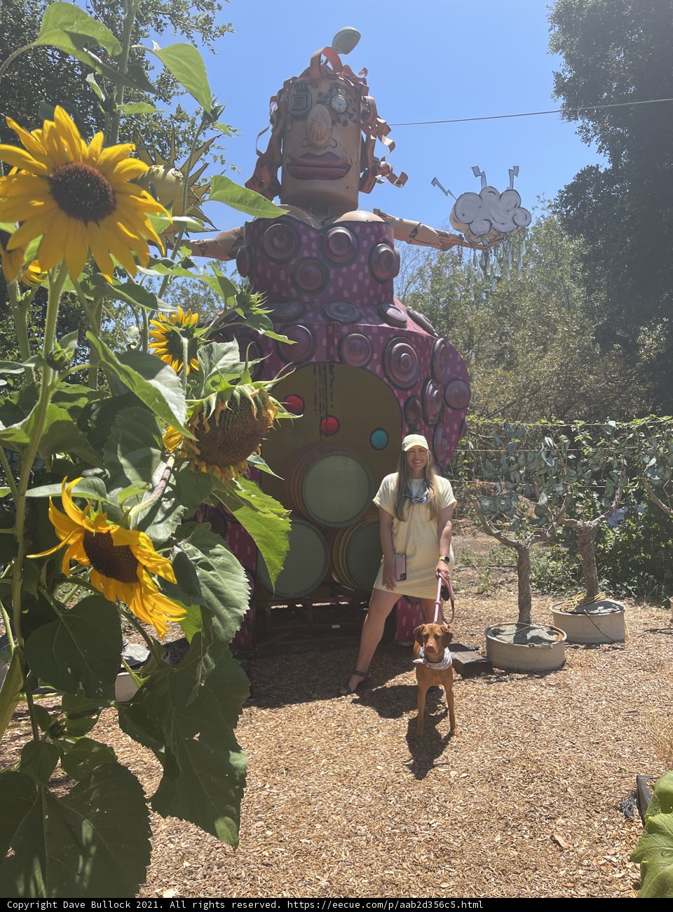 Woman and Dog Admiring Healdsburg's Breath-taking Sculpture