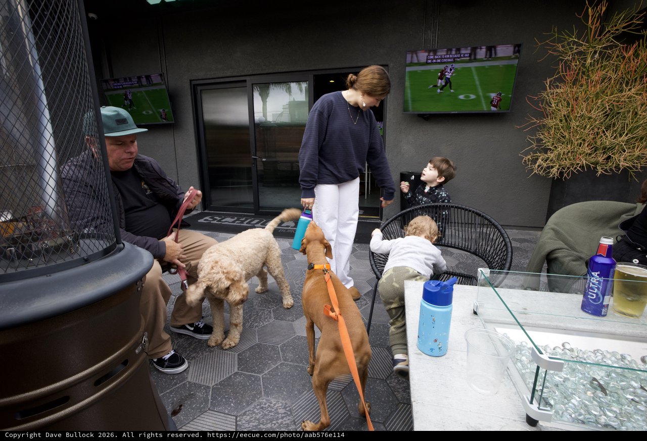 Family Gathering with Dogs on Modern Outdoor Patio