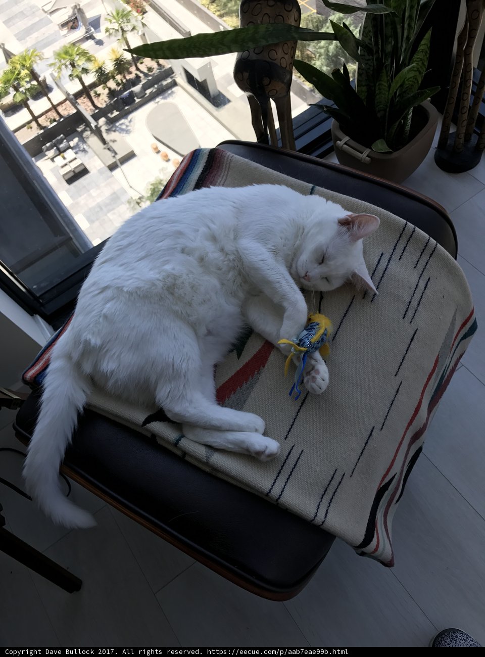 Lazy Days with My Toy