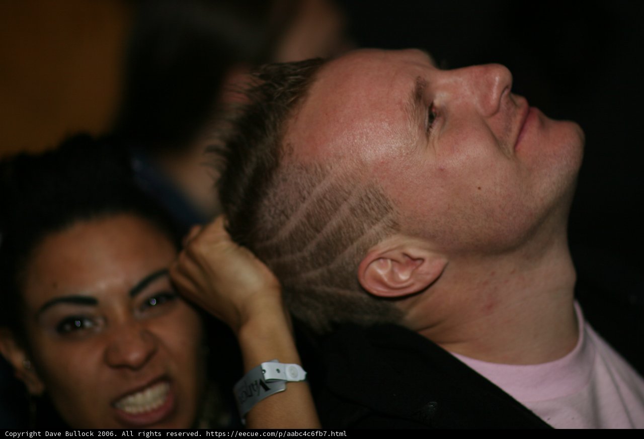 Bald and Bold