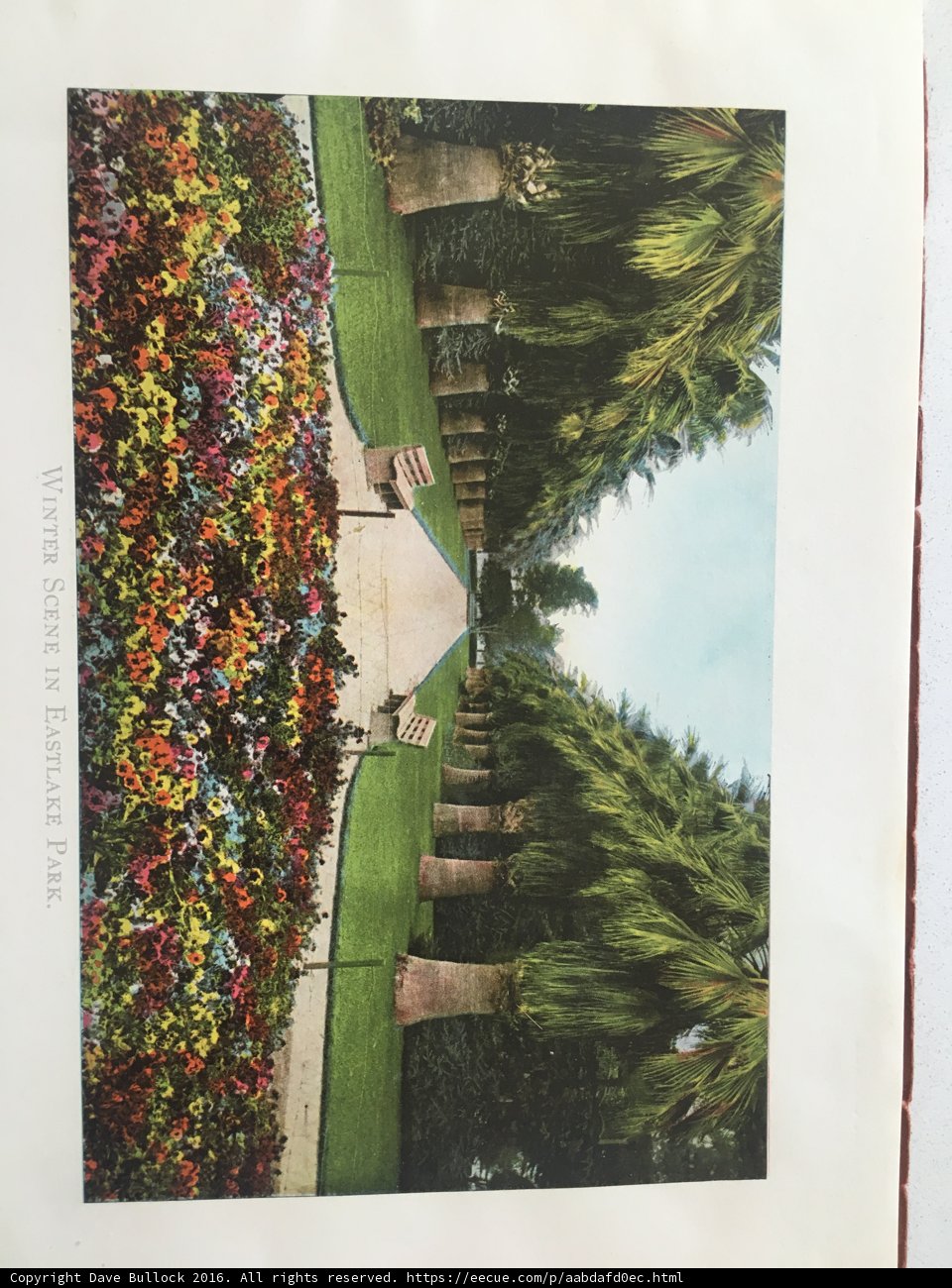 Garden Collage at The Broad
