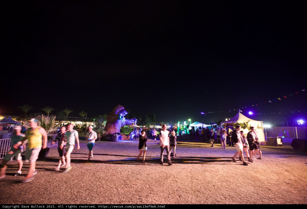 Walking the Festival