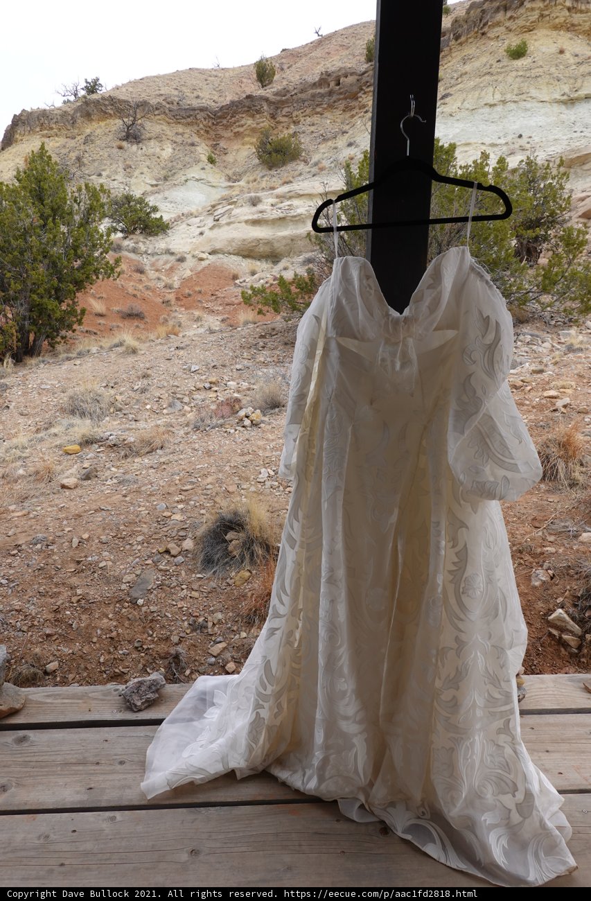 Desert Dream Wedding Dress
