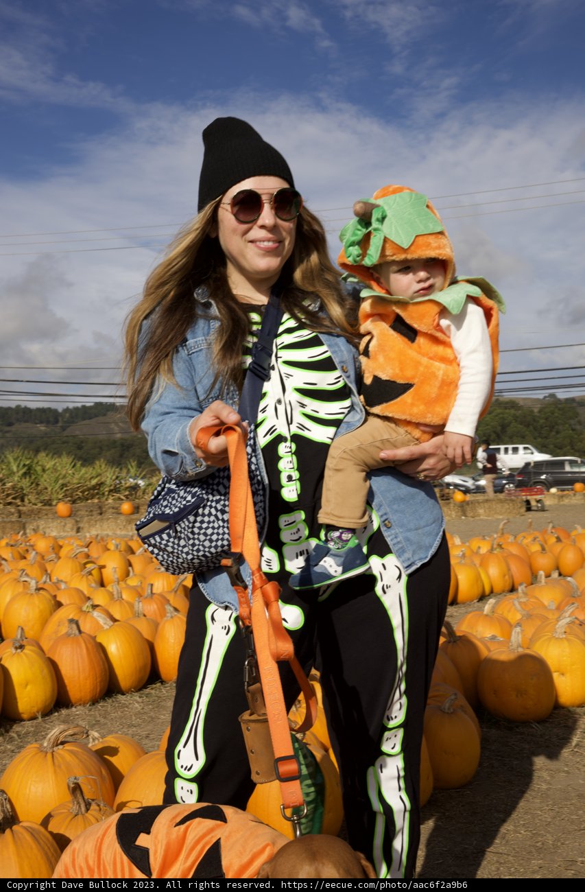 Harvest Time Delight in Halfmoon Bay