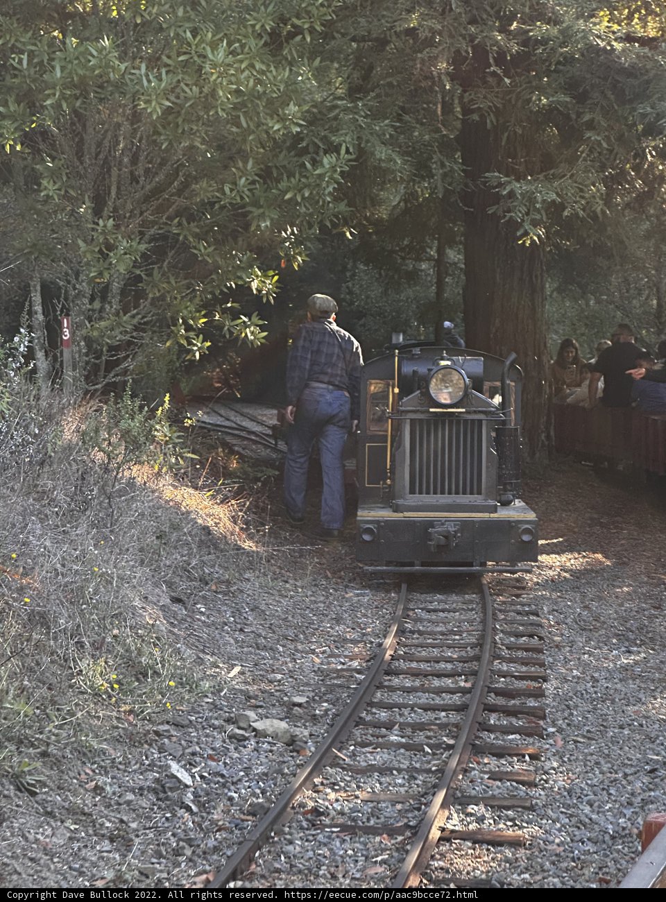 Train Ride through the Woods