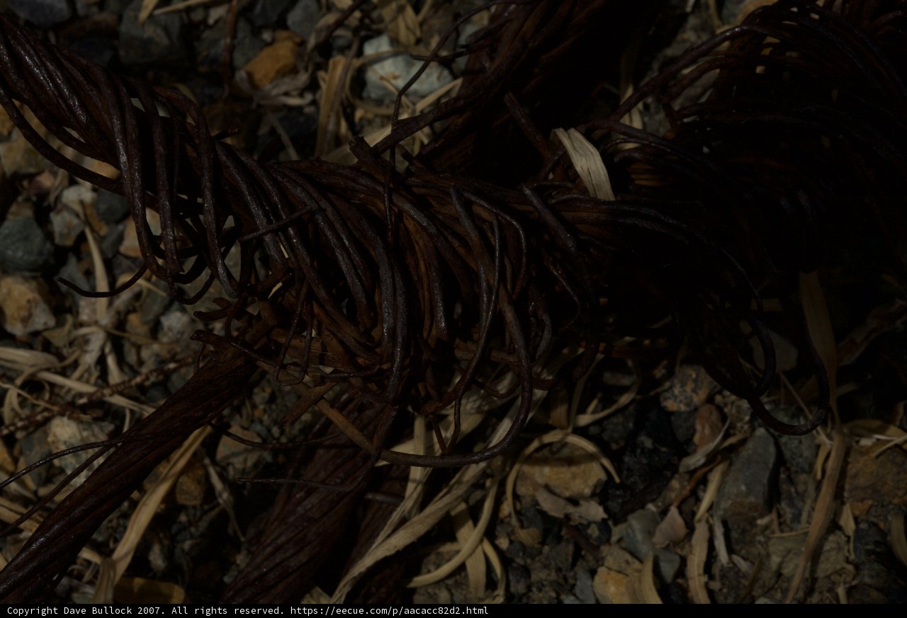 Twisted Plant Coil