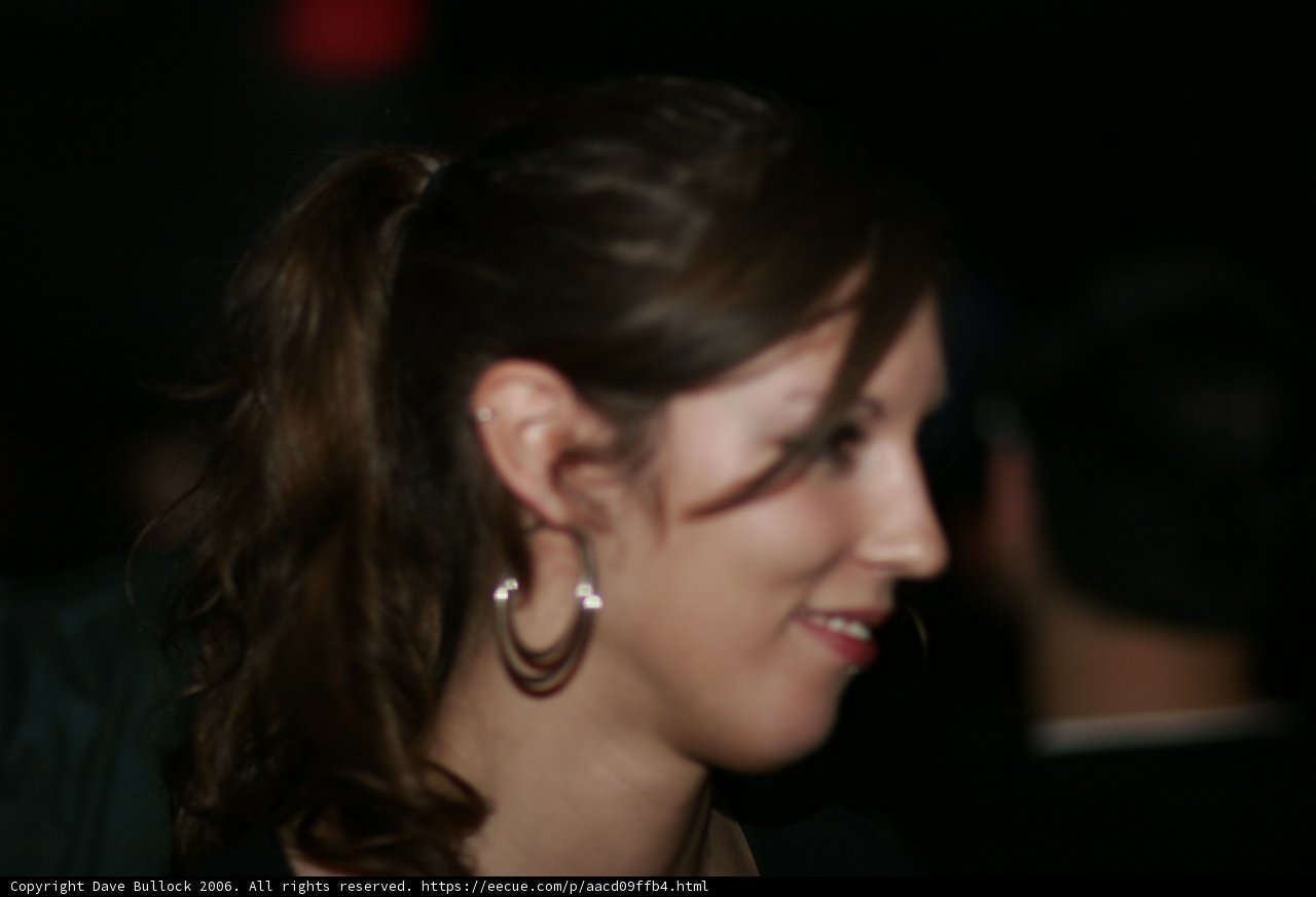 Ponytail and Earrings