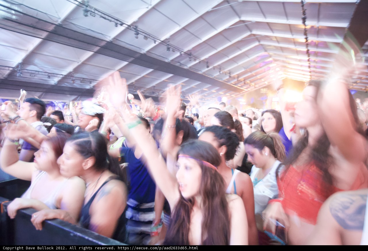 Coachella Crowd Goes Wild