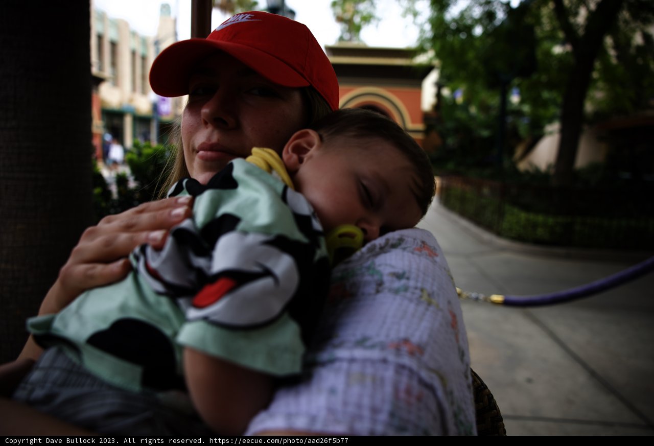 Cherished Moments at Disneyland