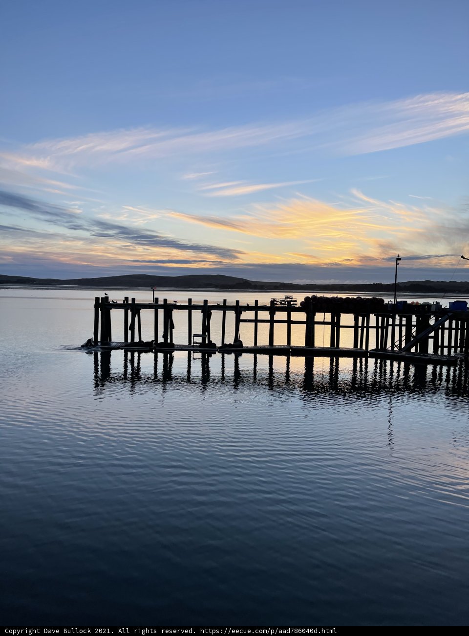 Serenity at Bodega Harbor