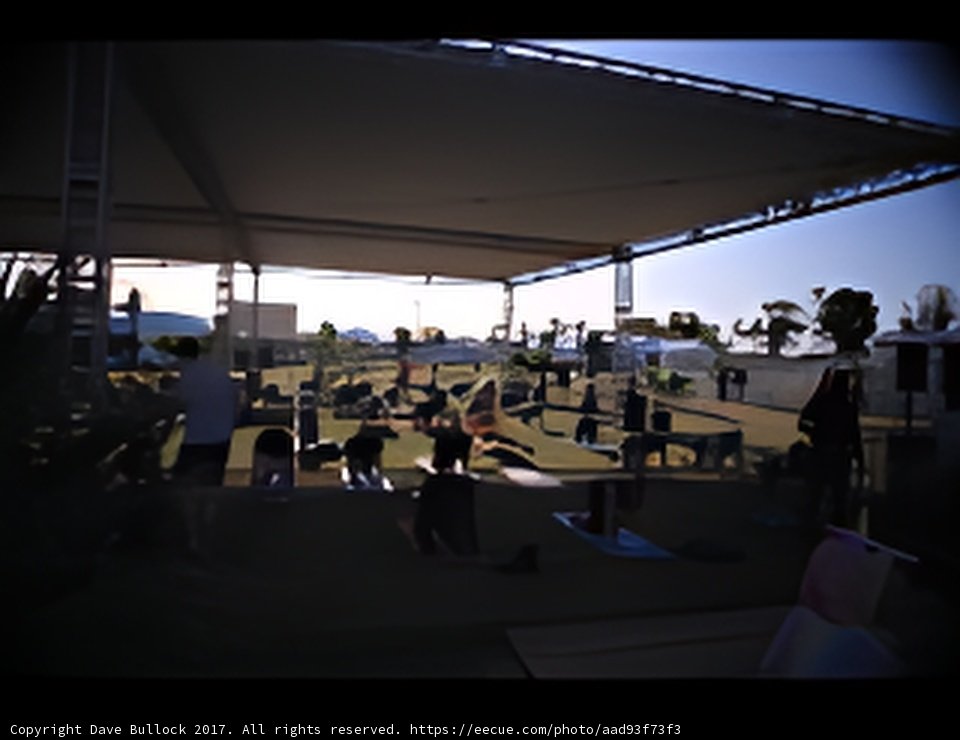 Relaxing under the Coachella canopy