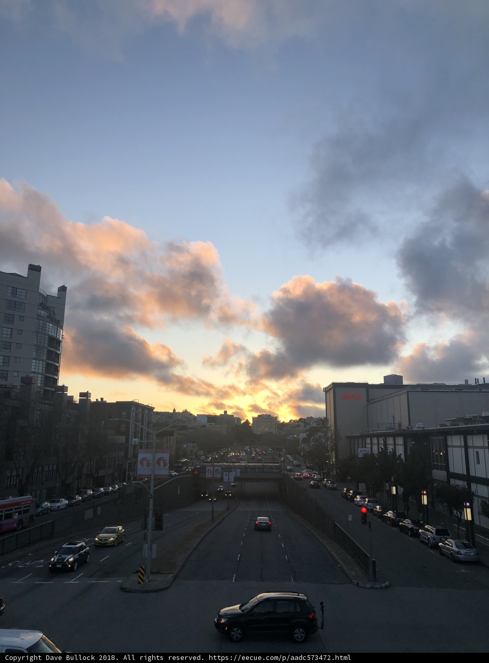 Rush Hour in the Urban Jungle