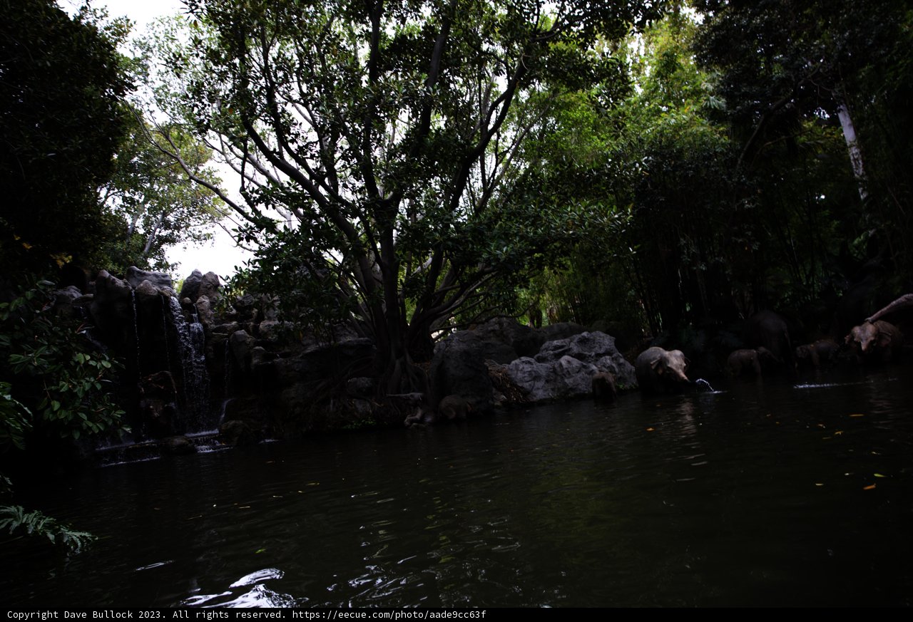 Enchanting Waterfall in the Wild
