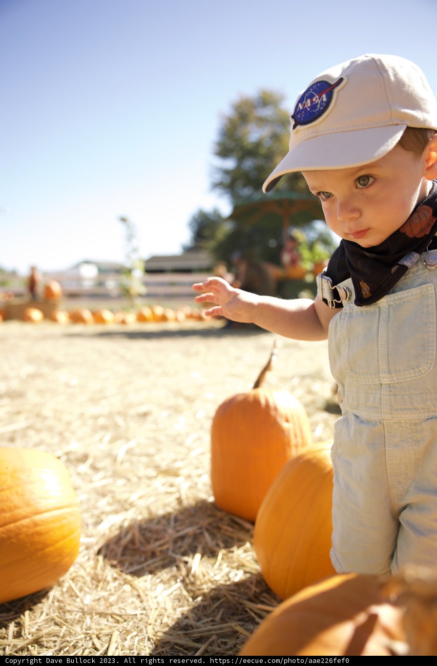 Harvest Time Fun with Wesley