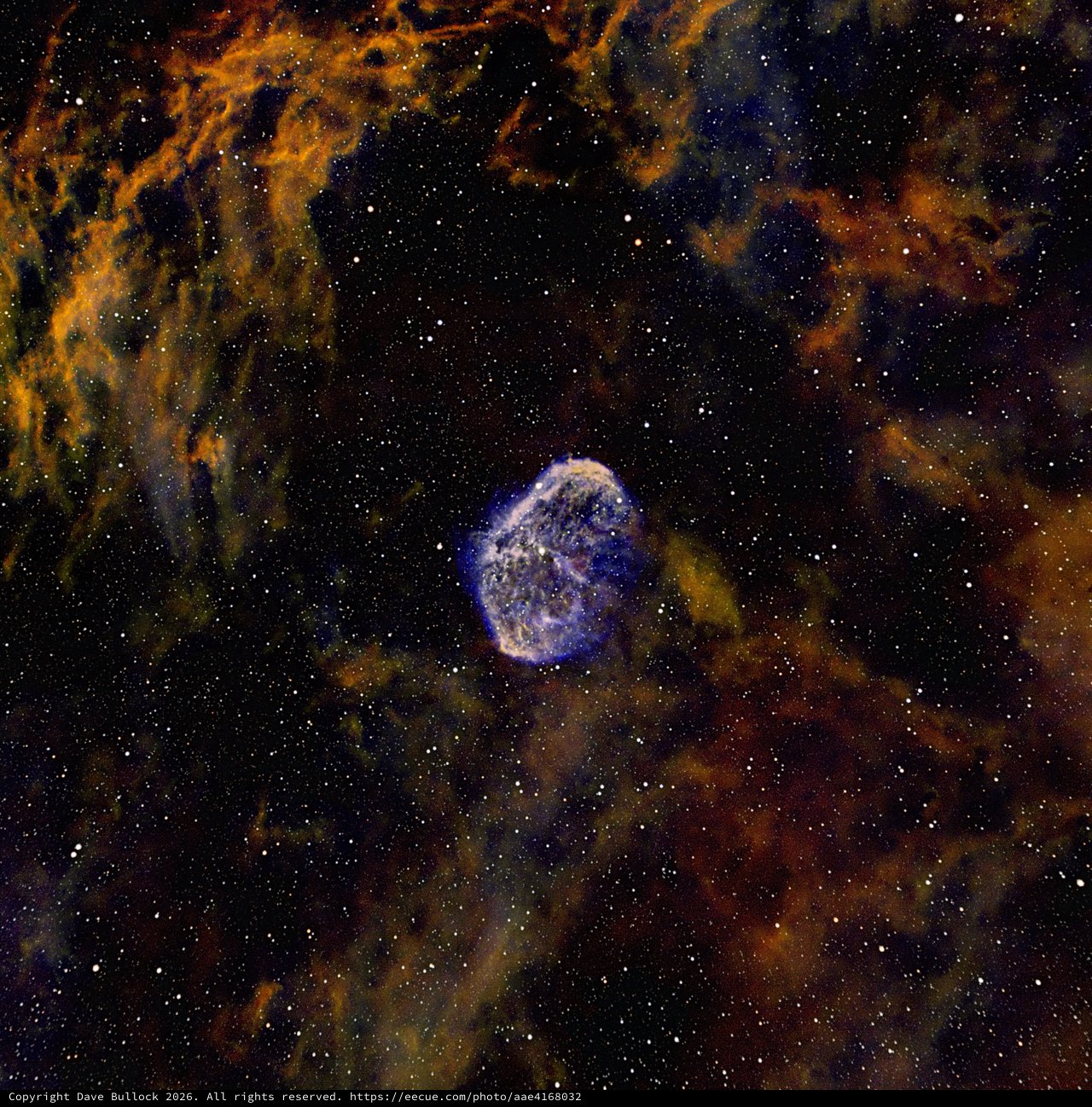 NGC 6888 Crescent Nebula in SHO Narrowband Palette