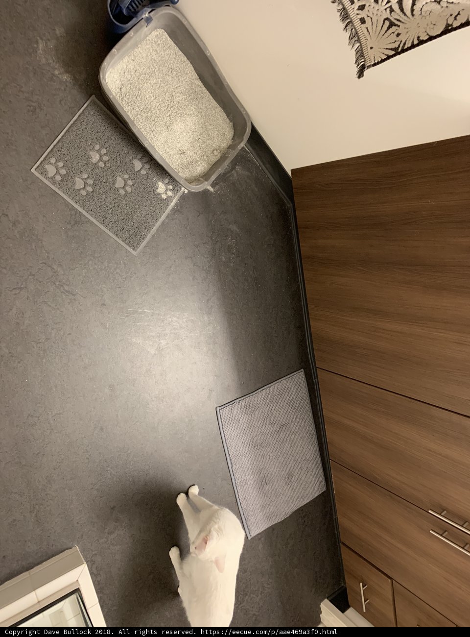 A Stylish Solution for Litter Boxes
