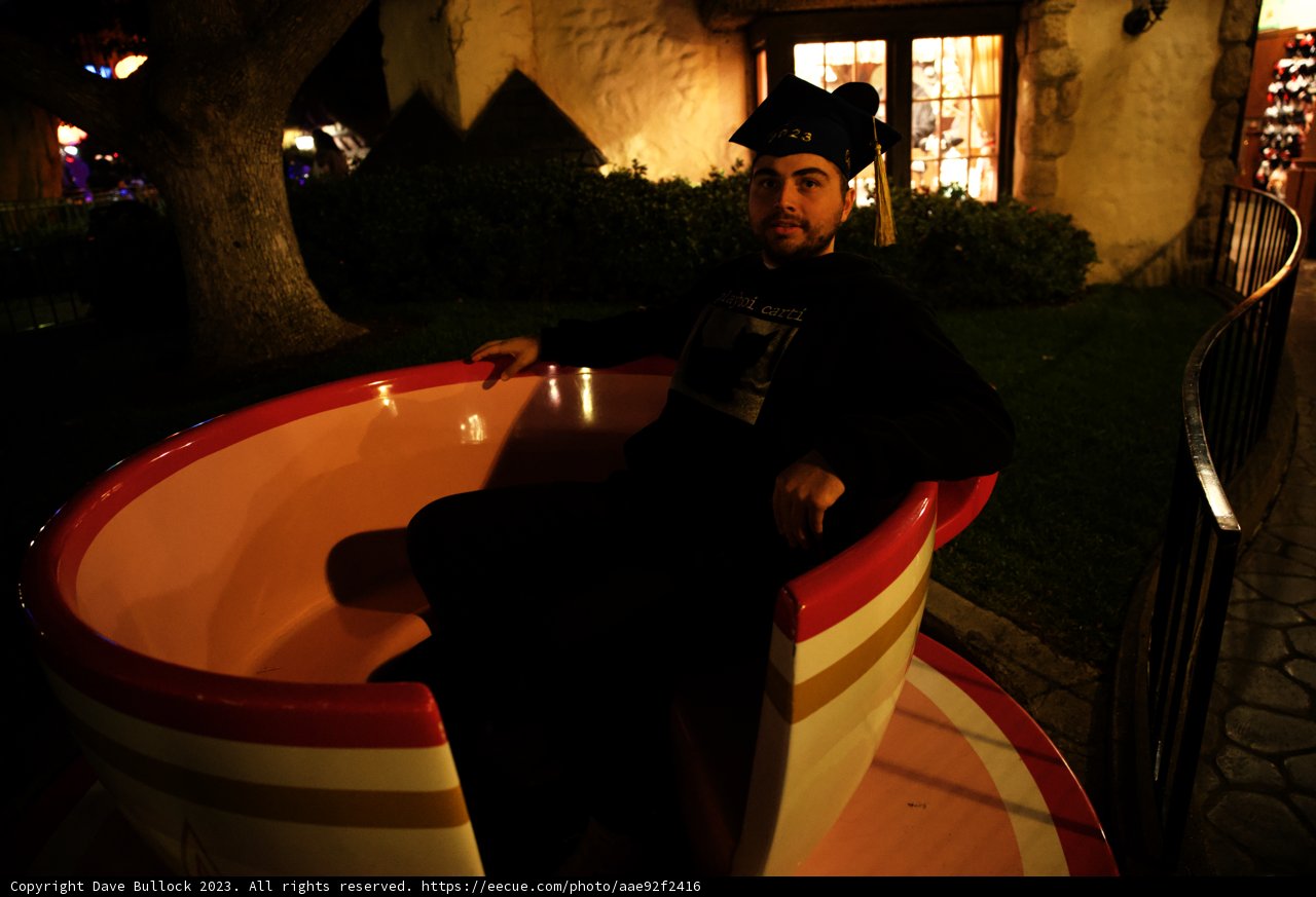 Whimsical Adventures at Disneyland