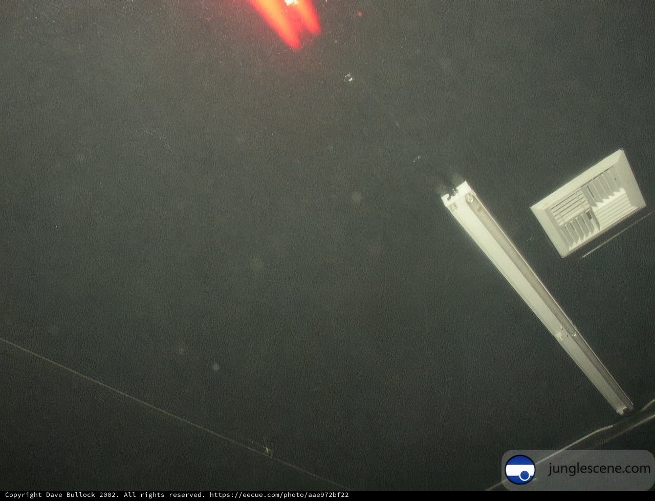 Red Flare in the Dark Sky