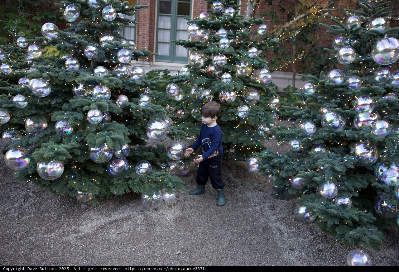 Enchanted Holiday Delight