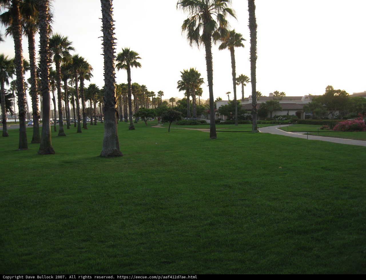 Serene Summer Haven