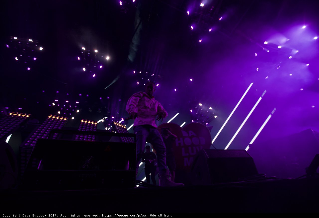 Purple Haze
